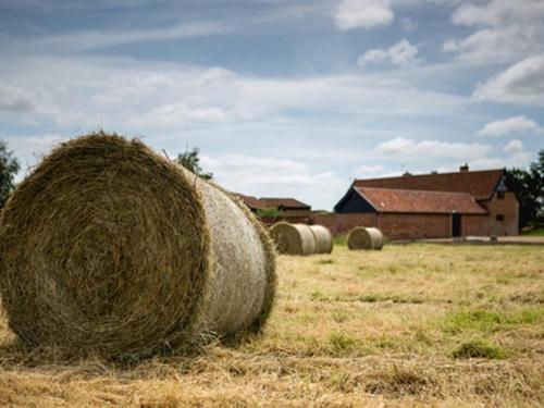 Trustans Barn Bed and Breakfast Darsham Buitenkant foto